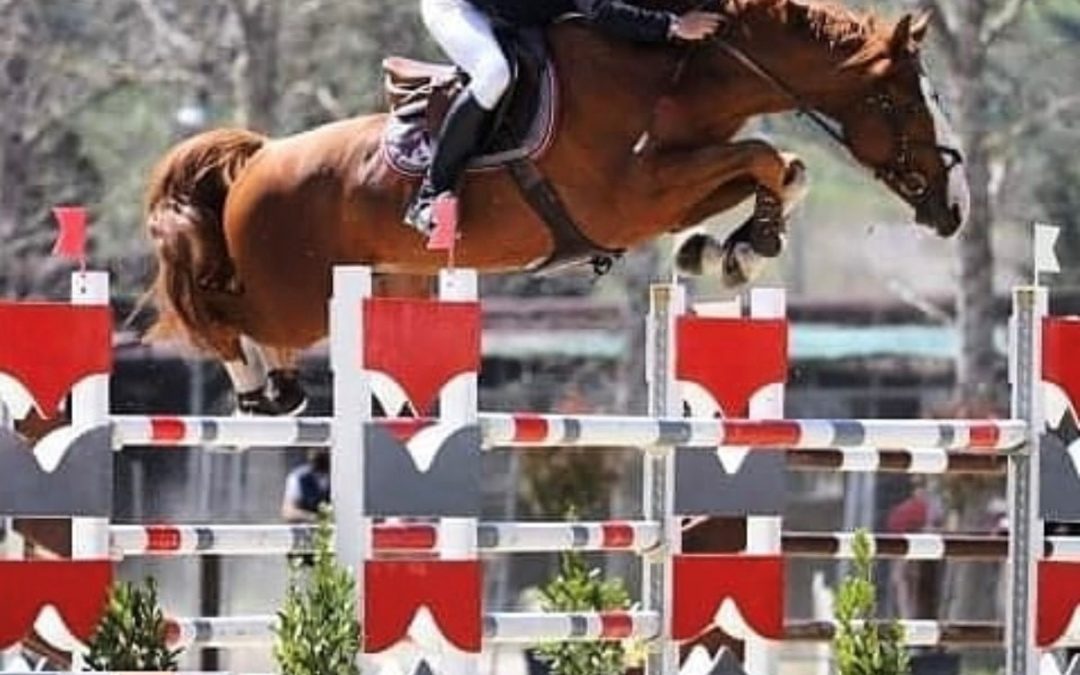 Gare di equitazione e salto ostacoli