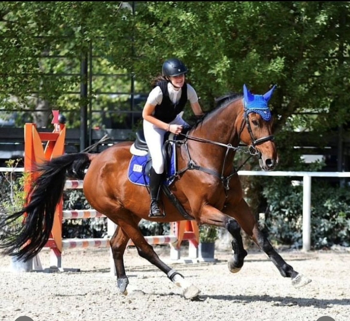 scuola di equitazione Corciano